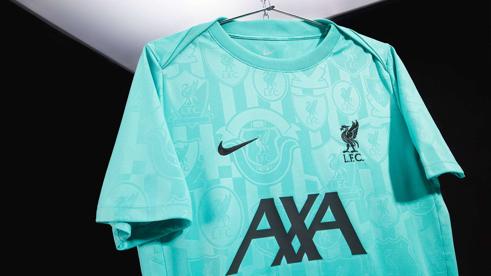 他们引入了 他们引入了